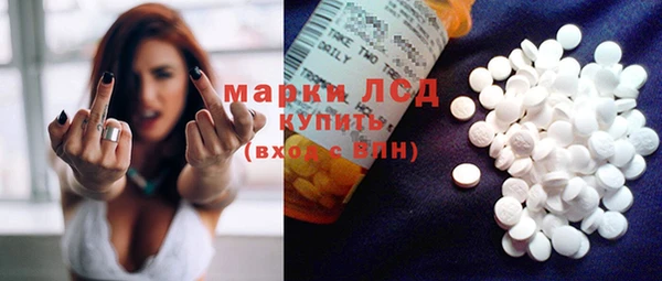 прущие грибы Кукмор