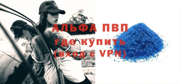 прущие грибы Кукмор