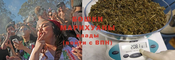 прущие грибы Кукмор