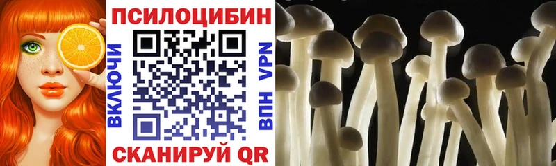 Псилоцибиновые грибы прущие грибы  Купить закладки  Алушта 